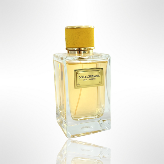 velvet ginestra by dolce and gabbana